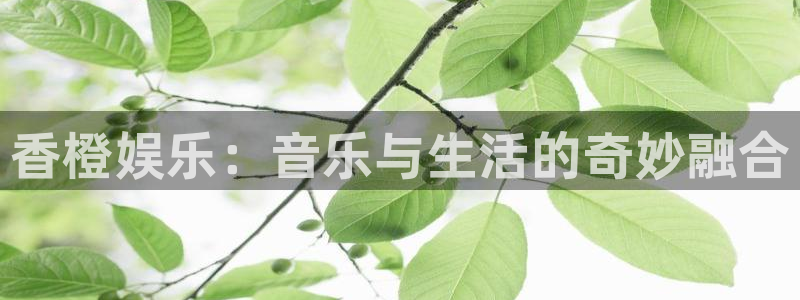超凡国际下载：香橙娱乐：音乐与生活的奇妙融合