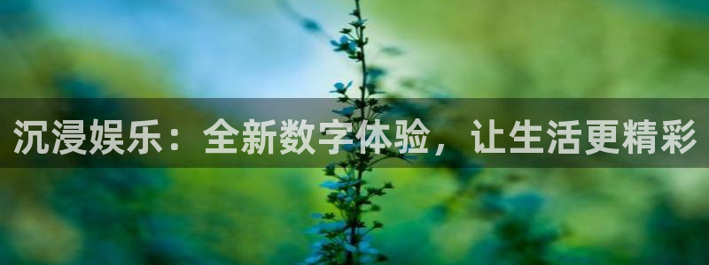 超凡国际：沉浸娱乐：全新数字体验，让生活更精彩