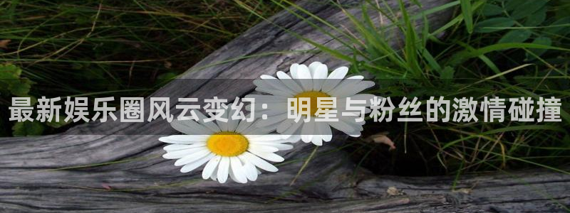 超凡国际pg电子游戏官网：最新娱乐圈风云变幻：明星与粉丝的激情碰撞