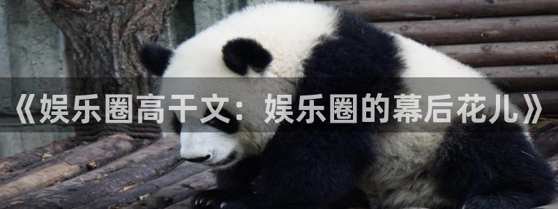 超凡国际下载：《娱乐圈高干文：娱乐圈的幕后花儿》