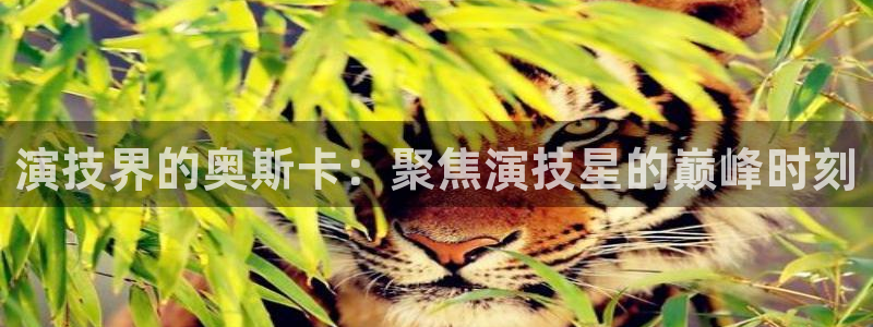 超凡国际：演技界的奥斯卡：聚焦演技星的巅峰时刻