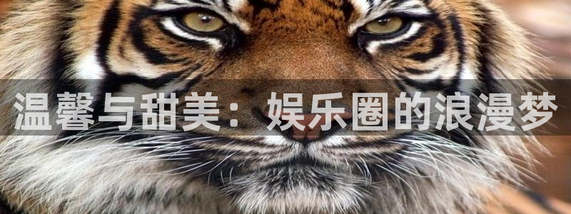 超凡国际：温馨与甜美：娱乐圈的浪漫梦